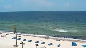 best beach webcams